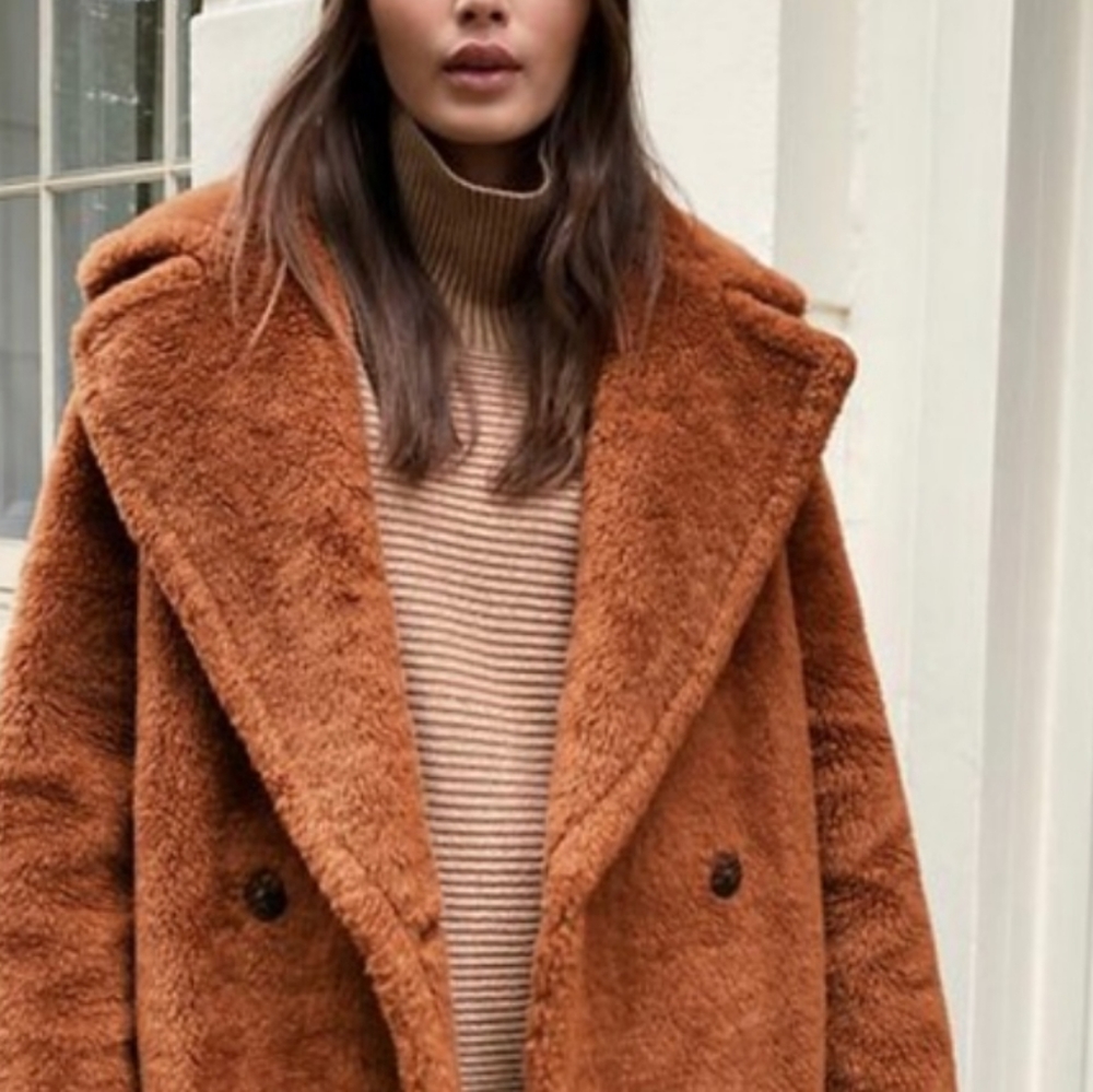 Aritzia Babaton The Teddy Coat Short